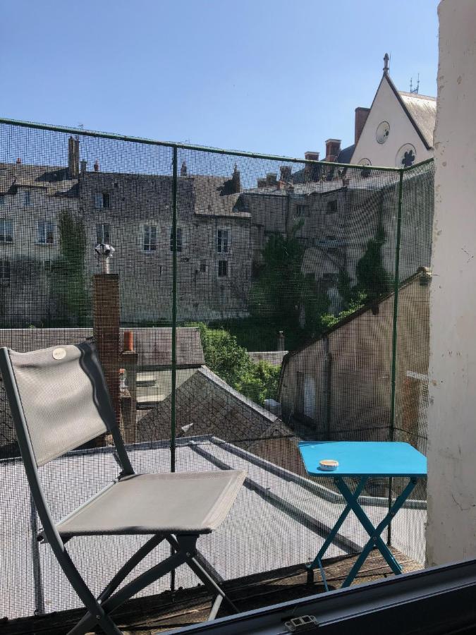 Cote Chateau - Grand Appartement Au Coeur De Blois Dış mekan fotoğraf