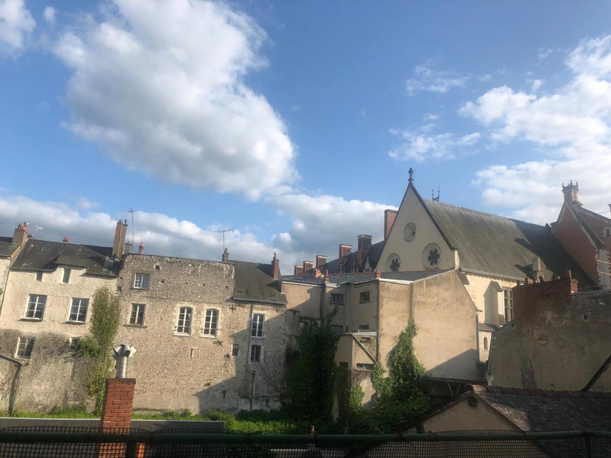 Cote Chateau - Grand Appartement Au Coeur De Blois Dış mekan fotoğraf