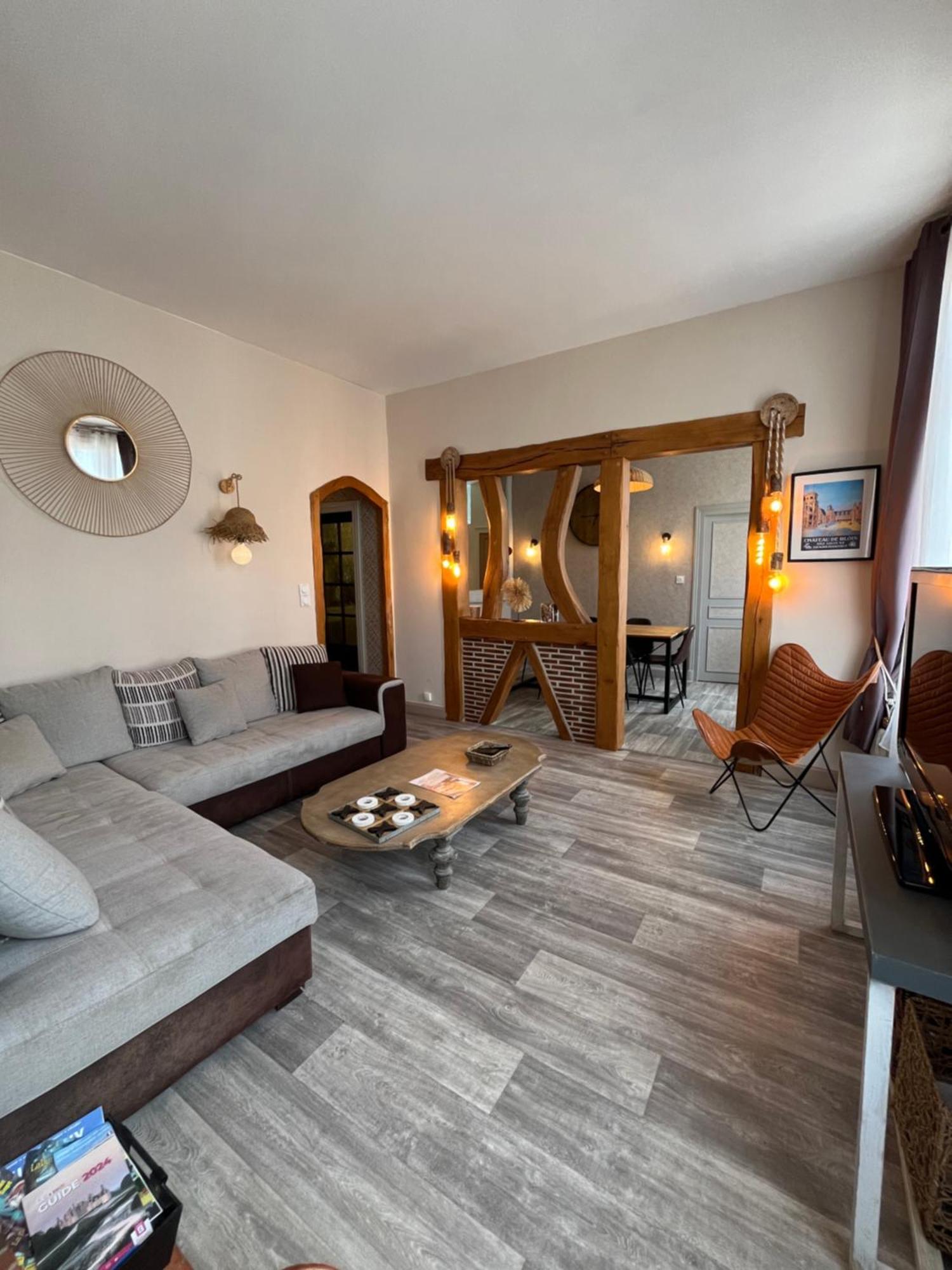Cote Chateau - Grand Appartement Au Coeur De Blois Dış mekan fotoğraf